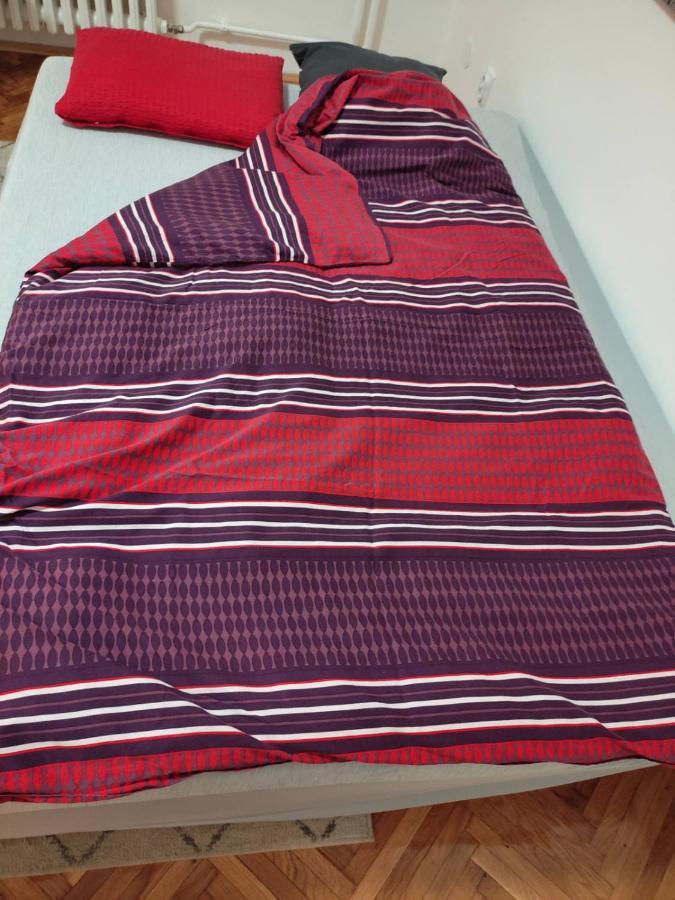 בלגרד Apartment Danica מראה חיצוני תמונה