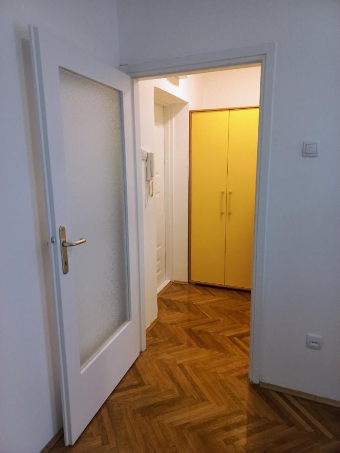 בלגרד Apartment Danica מראה חיצוני תמונה