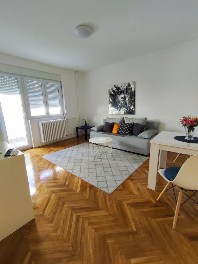 בלגרד Apartment Danica מראה חיצוני תמונה